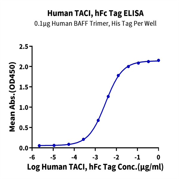 Human TACI/TNFRSF13B Protein (TAC-HM213) Human TACI/TNFRSF13B Protein (TAC-HM213)