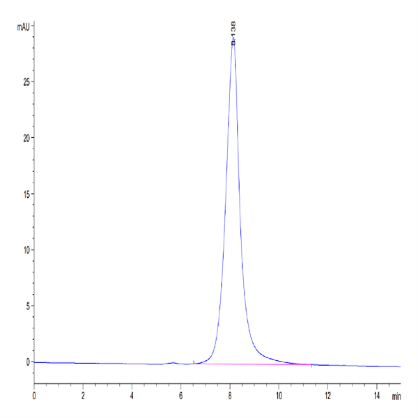 Human TACI/TNFRSF13B Protein (TAC-HM213)