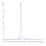Canine TEM1/cd248 Protein (TEM-DM148)