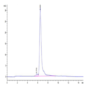 Canine TEM1/cd248 Protein (TEM-DM148)