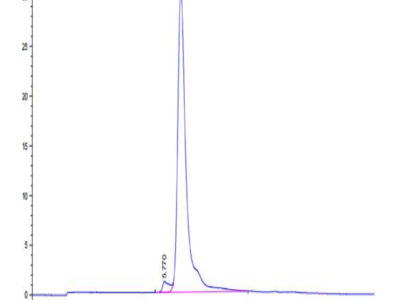 Canine TEM1/cd248 Protein (TEM-DM148)