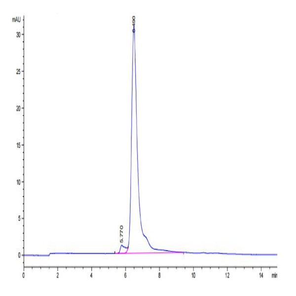 Canine TEM1/cd248 Protein (TEM-DM148)