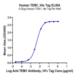 Human TEM1/cd248 Protein (TEM-HM148)