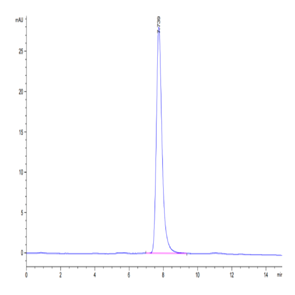 Human TEM7R/PLXDC2 Protein (TEM-HM17R) Human TEM7R/PLXDC2 Protein (TEM-HM17R)