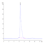 Mouse TEM1/cd248 Protein (TEM-MM148)
