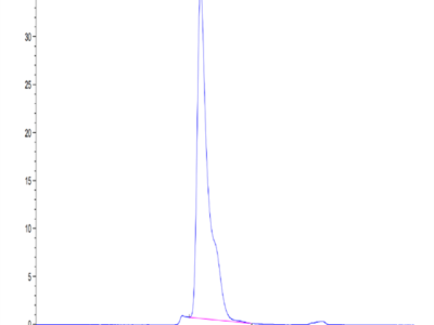 Mouse TEM1/cd248 Protein (TEM-MM148)