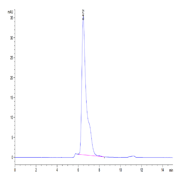 Mouse TEM1/cd248 Protein (TEM-MM148)