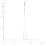 Mouse TEM7R/PLXDC2 Protein (TEM-MM17R)