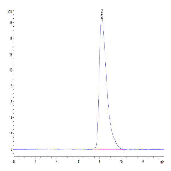 Mouse TMEM106B Protein (TEM-MM26B) Mouse TMEM106B Protein (TEM-MM26B)