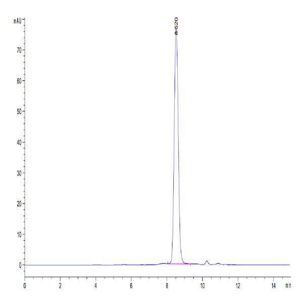 Human Transferrin Protein (TFN-HM101)