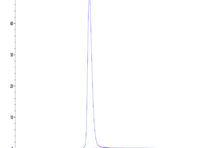 Human TFPI Protein (TFP-HM401)