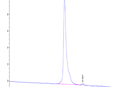 Canine Coagulation Factor III/Tissue Factor Protein (TFR-DM101)