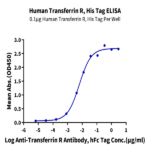 Human Transferrin R/CD71 Protein (TFR-HM401)