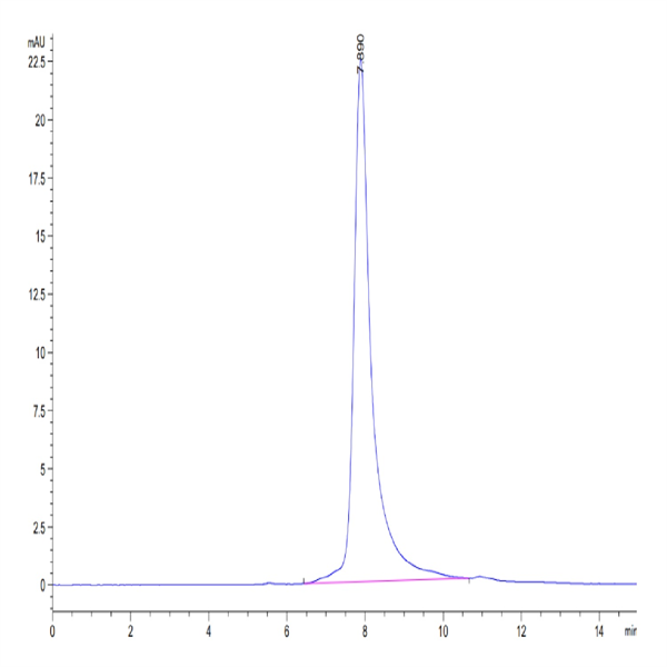 Human Transferrin R/CD71 Protein (TFR-HM401)
