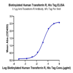 Biotinylated Human Transferrin R/CD71 Protein (TFR-HM401B)