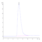 Biotinylated Human Transferrin R/CD71 Protein (TFR-HM401B)