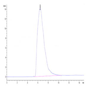 Biotinylated Human Transferrin R/CD71 Protein (TFR-HM401B)