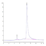 Mouse Transferrin R/CD71 Protein (TFR-MM101)