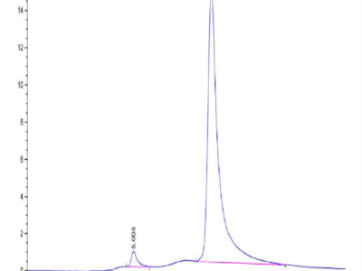 Mouse Transferrin R/CD71 Protein (TFR-MM101)