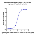 Biotinylated Human Mature TGF beta 1 Protein (TG1-HM10MB)