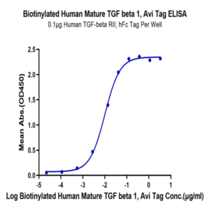Biotinylated Human Mature TGF beta 1 Protein (TG1-HM10MB)