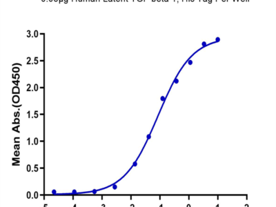 Human Latent TGF beta 1/TGFB1 Protein (TG1-HM401)