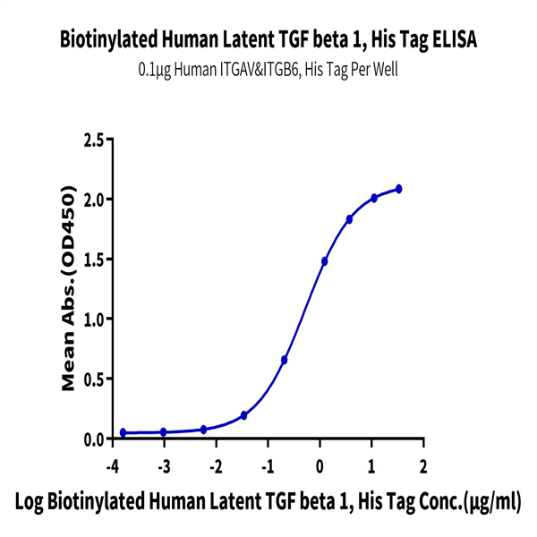 Biotinylated Human Latent TGF beta 1/TGFB1 Protein (TG1-HM401B) Biotinylated Human Latent TGF beta 1/TGFB1 Protein (TG1-HM401B)