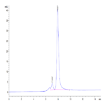 Biotinylated Human Latent TGF beta 1/TGFB1 Protein (TG1-HM401B)