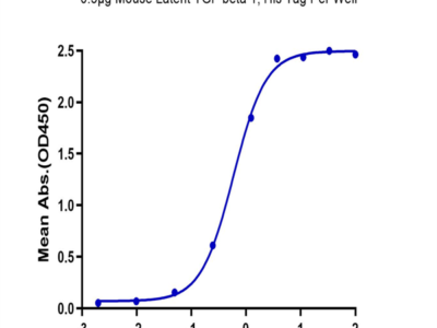 Mouse Latent TGF beta 1/TGFB1 Protein (TG1-MM101)