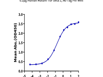 Human Mature TGF beta 2 Protein (TG2-HM00M)