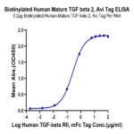 Biotinylated Human Mature TGF beta 2 Protein (TG2-HM00MB)