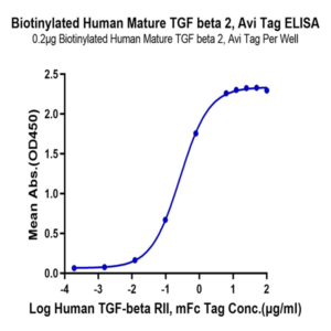 Biotinylated Human Mature TGF beta 2 Protein (TG2-HM00MB)