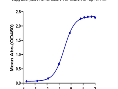 Biotinylated Human Mature TGF beta 2 Protein (TG2-HM00MB)