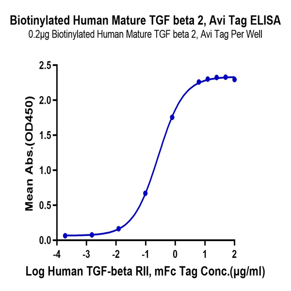Biotinylated Human Mature TGF beta 2 Protein (TG2-HM00MB) Biotinylated Human Mature TGF beta 2 Protein (TG2-HM00MB)