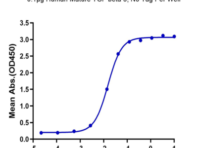 Human Mature TGF beta 3 Protein (TG3-HM00M)