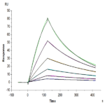 Human Latent TGF beta 2/TGFB2 Protein (TGF-HM102)