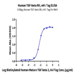 Human TGF-beta RII/TGFBR2 Protein (TGF-HM3R2)