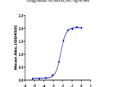 Human TGF-beta RII/TGFBR2 Protein (TGF-HM3R2)