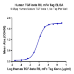 Human TGF-beta RII/TGFBR2 Protein (TGF-HM3R2)