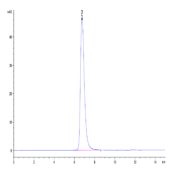 Human TGF-beta RII/TGFBR2 Protein (TGF-HM3R2)
