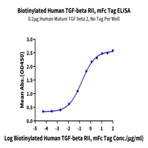 Biotinylated Human TGF-beta RII/TGFBR2 Protein (TGF-HM3R2B)