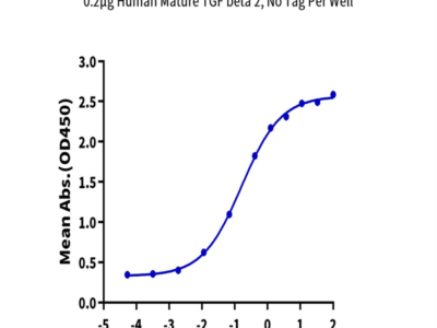 Biotinylated Human TGF-beta RII/TGFBR2 Protein (TGF-HM3R2B)