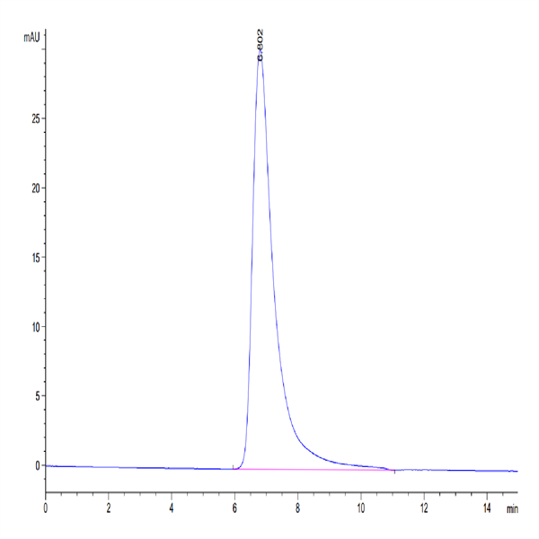 Biotinylated Human TGF-beta RII/TGFBR2 Protein (TGF-HM3R2B)