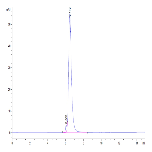 Human TGF-beta RII/TGFBR2 Protein (TGF-HM5R2)