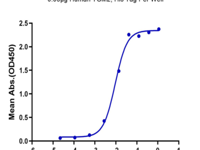 Human TGM2 Protein (TGM-HE102)