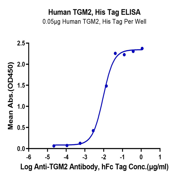 Human TGM2 Protein (TGM-HE102) Human TGM2 Protein (TGM-HE102)