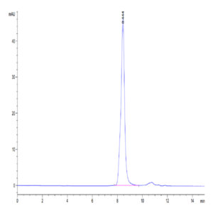 Mouse TGM2 Protein (TGM-ME102)