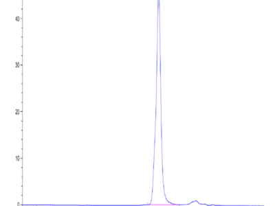 Mouse TGM2 Protein (TGM-ME102)