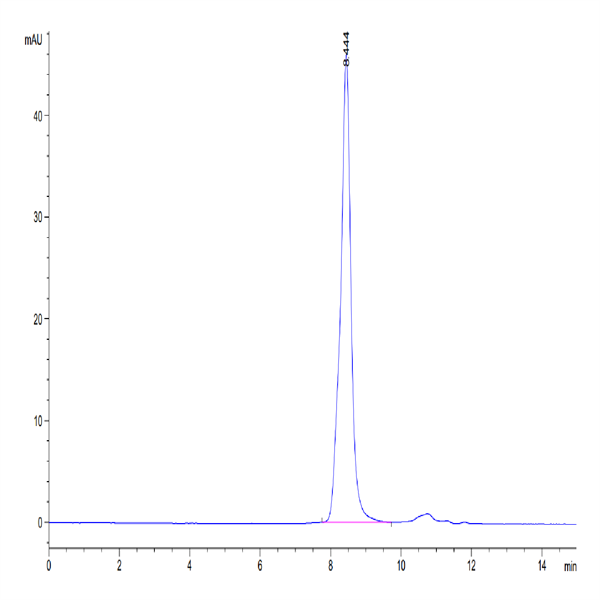 Mouse TGM2 Protein (TGM-ME102) Mouse TGM2 Protein (TGM-ME102)