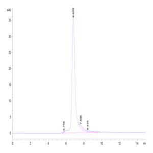 Human THSD7A Protein (THS-HM17A)